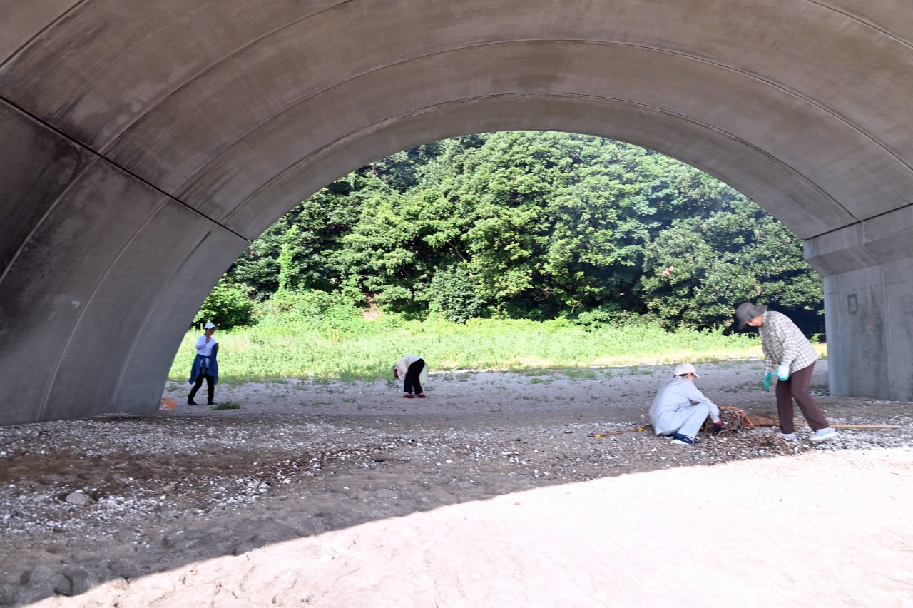 海岸の清掃活動