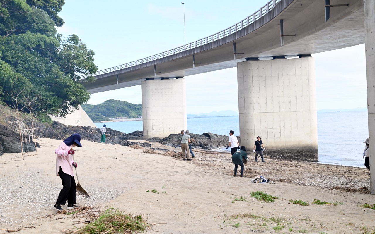 海岸の清掃活動