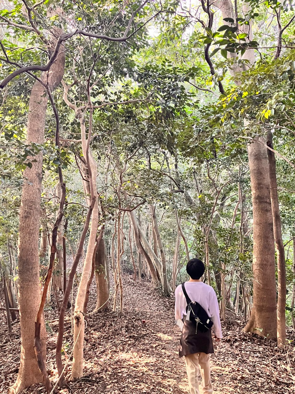 二の丸から本丸へ