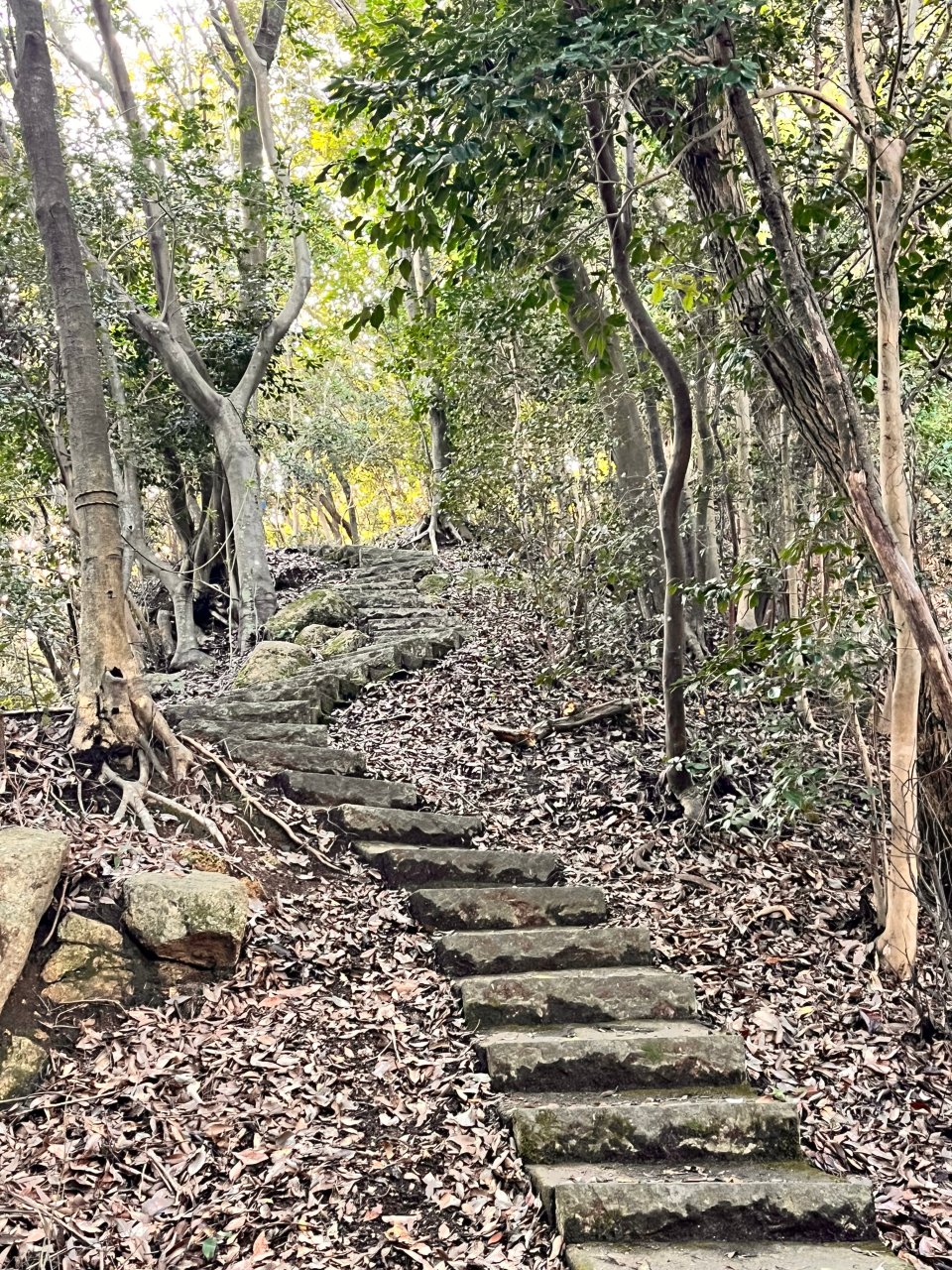 本丸への長い石段