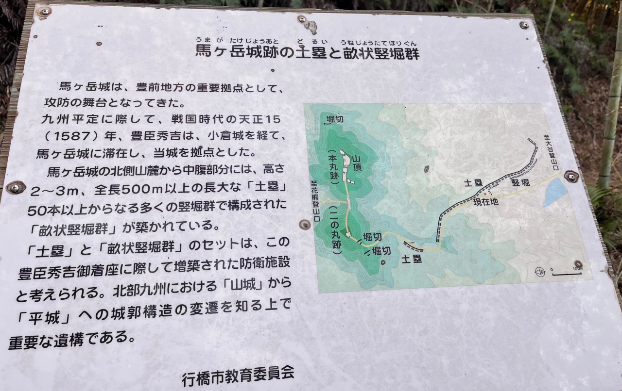 馬ヶ岳城跡の土塁と畝状竪堀群