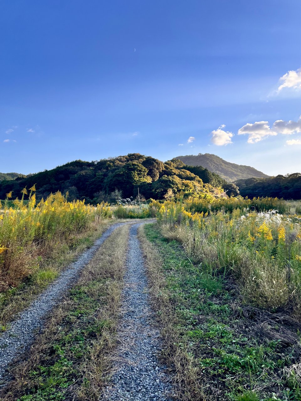 馬ヶ岳登山口から駐車場に帰る道で振り返る