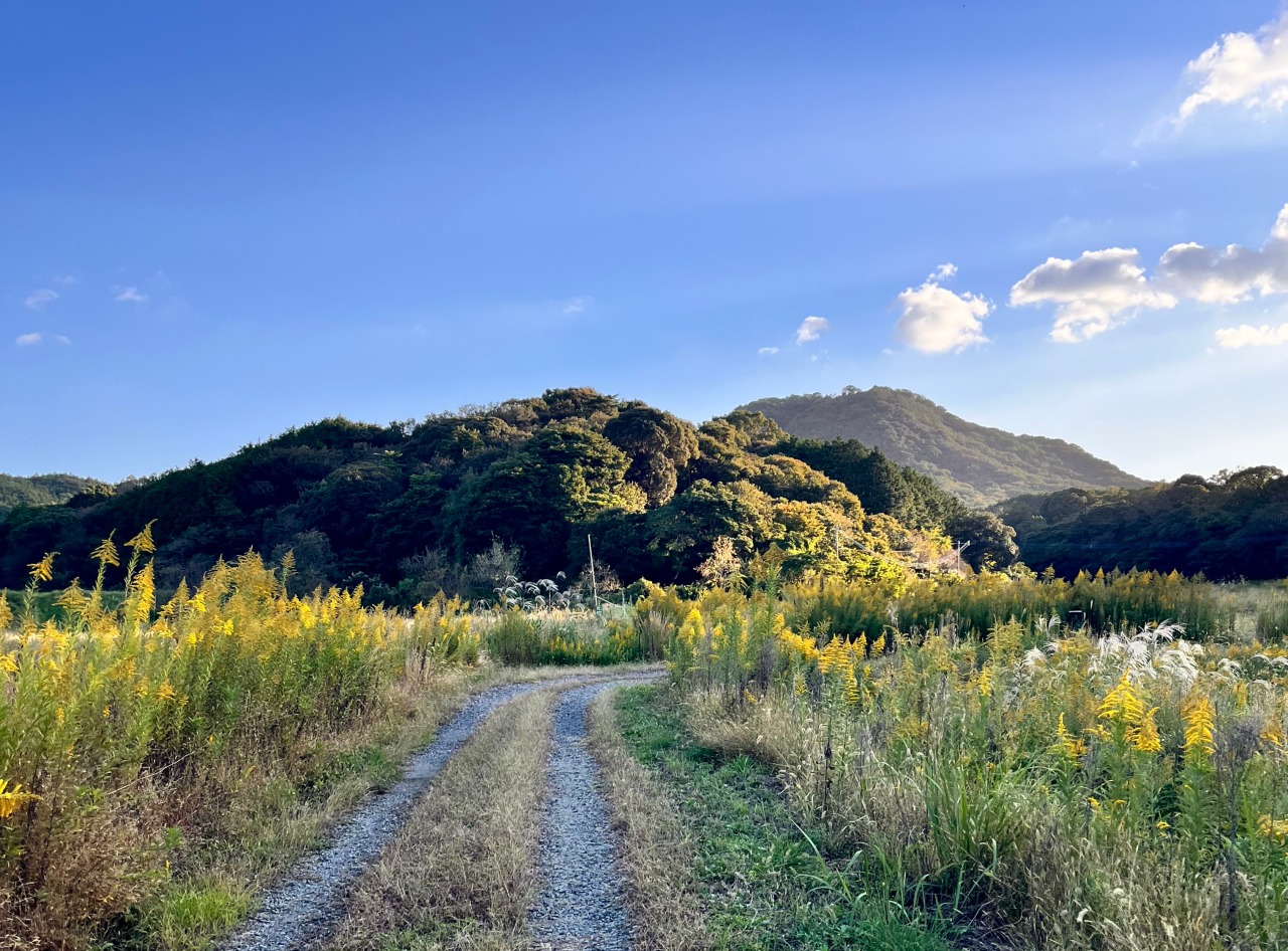 馬ヶ岳登山口への道