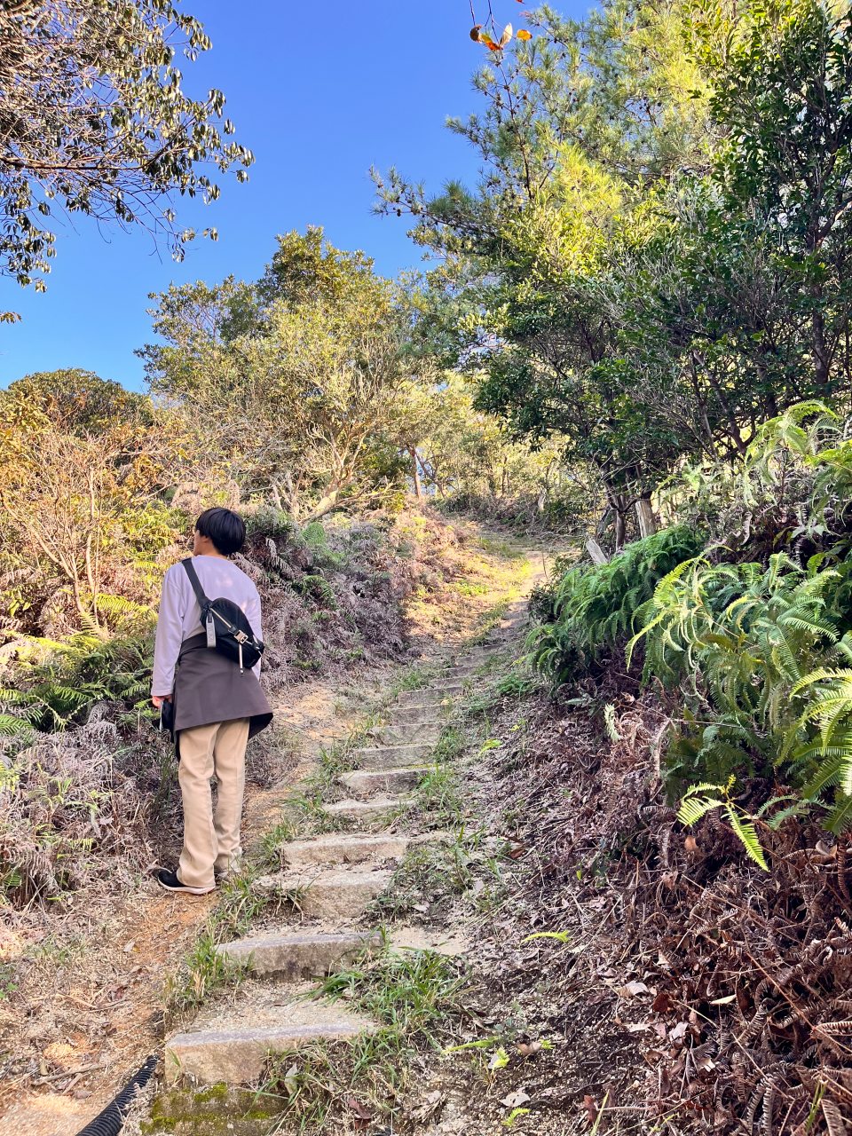 長い長い石段と青年