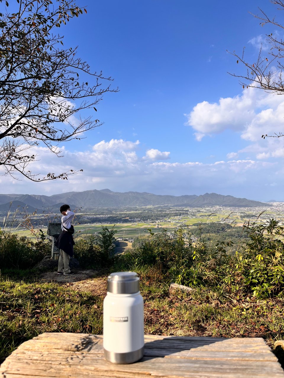 低山からの眺め