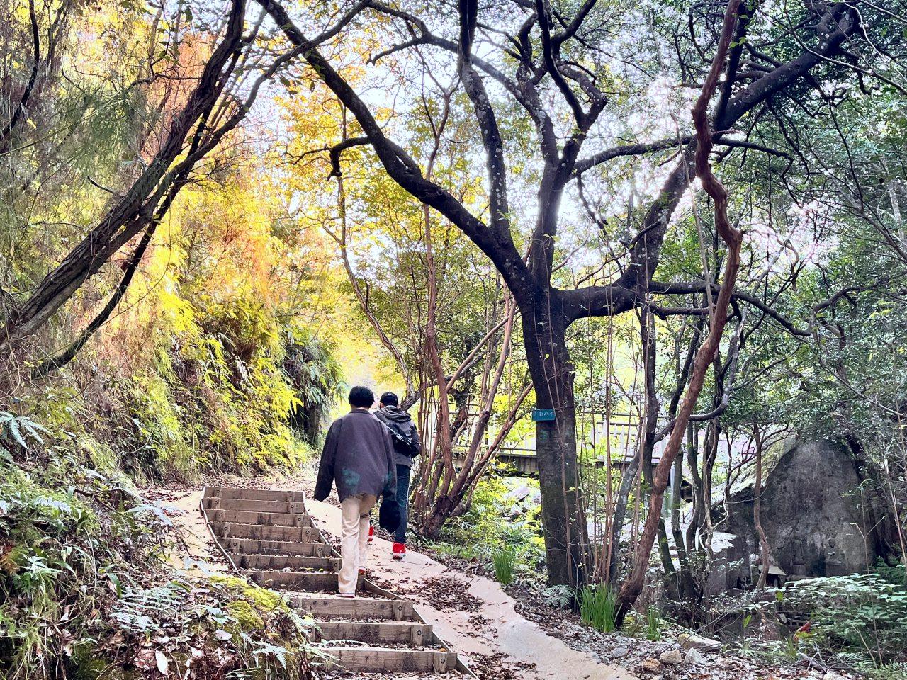 御所ヶ谷神籠石遊歩道